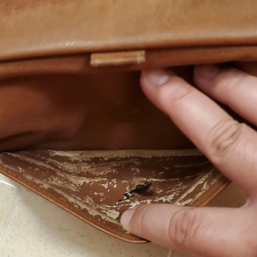 Louis Vuitton LV wallet brown